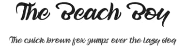 The Beach Boy by Creativework69 Studio — Script Handwritten Font — thumbnail 1