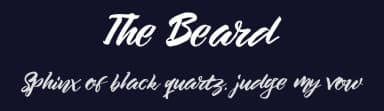 The Beard by Dirtyline Studio — Script Handwritten Font — thumbnail 2