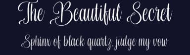 The Beautiful Secret by Octotype  | Thomas Boucherie — Script Handwritten Font — thumbnail 2