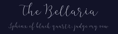 The Bellaria by Best Font Studio — Script Handwritten Font — thumbnail 2