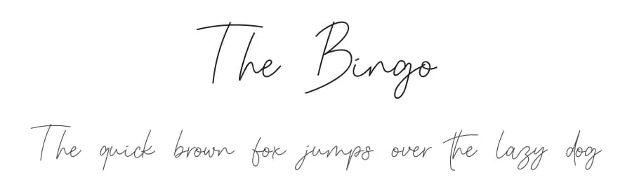 The Bingo by Erik Studio — Script Handwritten Font