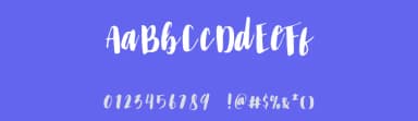 The Black Cats by Dang Lem — Script Handwritten Font — thumbnail 3