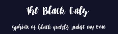 The Black Cats by Dang Lem — Script Handwritten Font — thumbnail 2