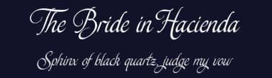 The Bride in Hacienda by Cat.B — Script Handwritten Font — thumbnail 2