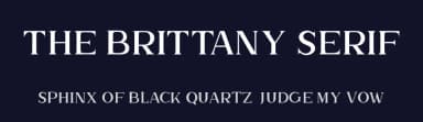 The Brittany Serif by Sronstudio — Serif Font — thumbnail 2