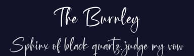 The Burnley by Letterena Studios — Script Handwritten Font — thumbnail 2