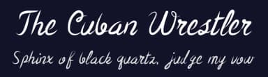 The Cuban Wrestler by Jeremy Dixon — Script Handwritten Font — thumbnail 2