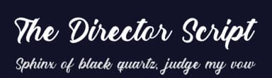 The Director Script by RantautypeStudio — Script Handwritten Font — thumbnail 2