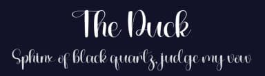 The Duck by PiPi Creative STUDIO — Script Handwritten Font — thumbnail 2