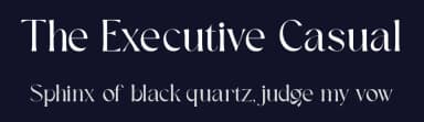 The Executive Casual by Fontsgood — Serif Font — thumbnail 2