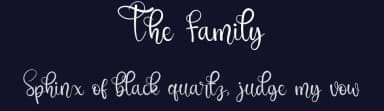 The Family by Erik Studio — Script Handwritten Font — thumbnail 2
