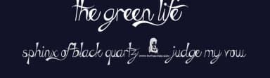 The Green Life by JSH creates — Script Handwritten Font — thumbnail 2