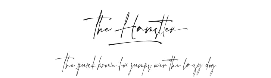The Hamstter by Vultype — Script Handwritten Font