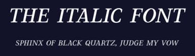 The Italic Font by Sven Pels — Serif Font — thumbnail 2