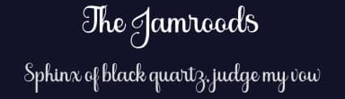 The Jamroods by Skinny Type — Script Handwritten Font — thumbnail 2