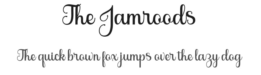 The Jamroods by Skinny Type — Script Handwritten Font