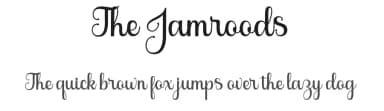 The Jamroods by Skinny Type — Script Handwritten Font — thumbnail 1
