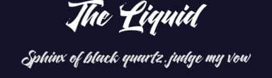 The Liquid by Octotype  | Thomas Boucherie — Script Handwritten Font — thumbnail 2