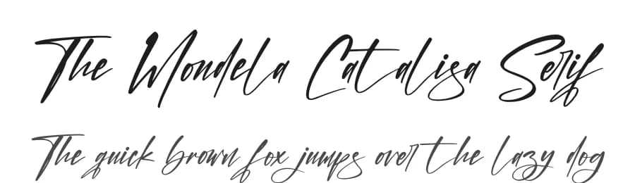 The Mondela Catalisa Serif by Storytype Studio — Serif Font