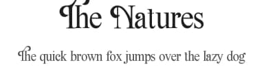 The Natures by Scratchones — Sans Serif Font — thumbnail 1