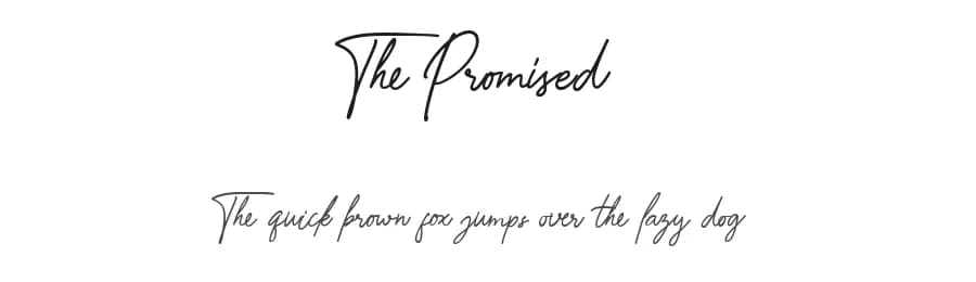 The Promised by Moonstone Co — Script Handwritten Font — preview 1