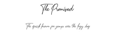The Promised by Moonstone Co — Script Handwritten Font — thumbnail 1