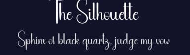 The Silhouette by Andi Moz — Script Handwritten Font — thumbnail 2
