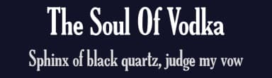 The Soul Of Vodka by Erotavlas — Serif Font — thumbnail 2