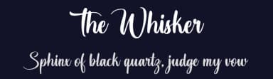 The Whisker by Octotype  | Thomas Boucherie — Script Handwritten Font — thumbnail 2