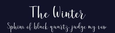 The Winter by Amarlettering - Takiy — Script Handwritten Font — thumbnail 2