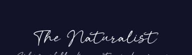 The Naturalist by Typetemp Studio — Script Handwritten Font — thumbnail 2