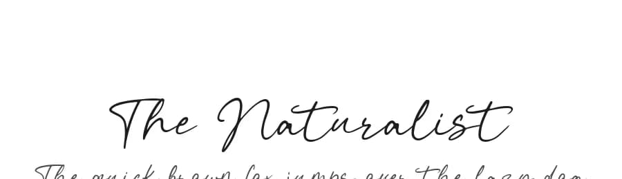 The Naturalist by Typetemp Studio — Script Handwritten Font