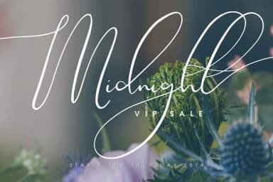 Theodoria Font by Creativeqube Design — Script Handwritten Font — thumbnail 7