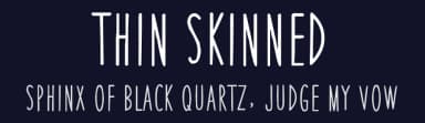 Thin Skinned by Blue Sky — Script Handwritten Font — thumbnail 2
