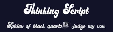 Thinking Script by 177Studio — Script Handwritten Font — thumbnail 2