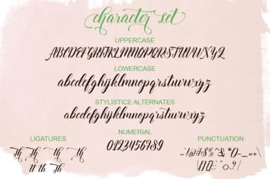 Thirteenth Script Font by moriztype — Script Handwritten Font — thumbnail 6