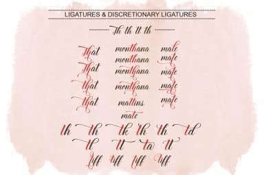 Thirteenth Script Font by moriztype — Script Handwritten Font — thumbnail 7