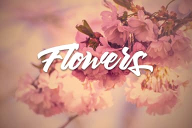 Thirthy Font by susitype — Script Handwritten Font — thumbnail 5