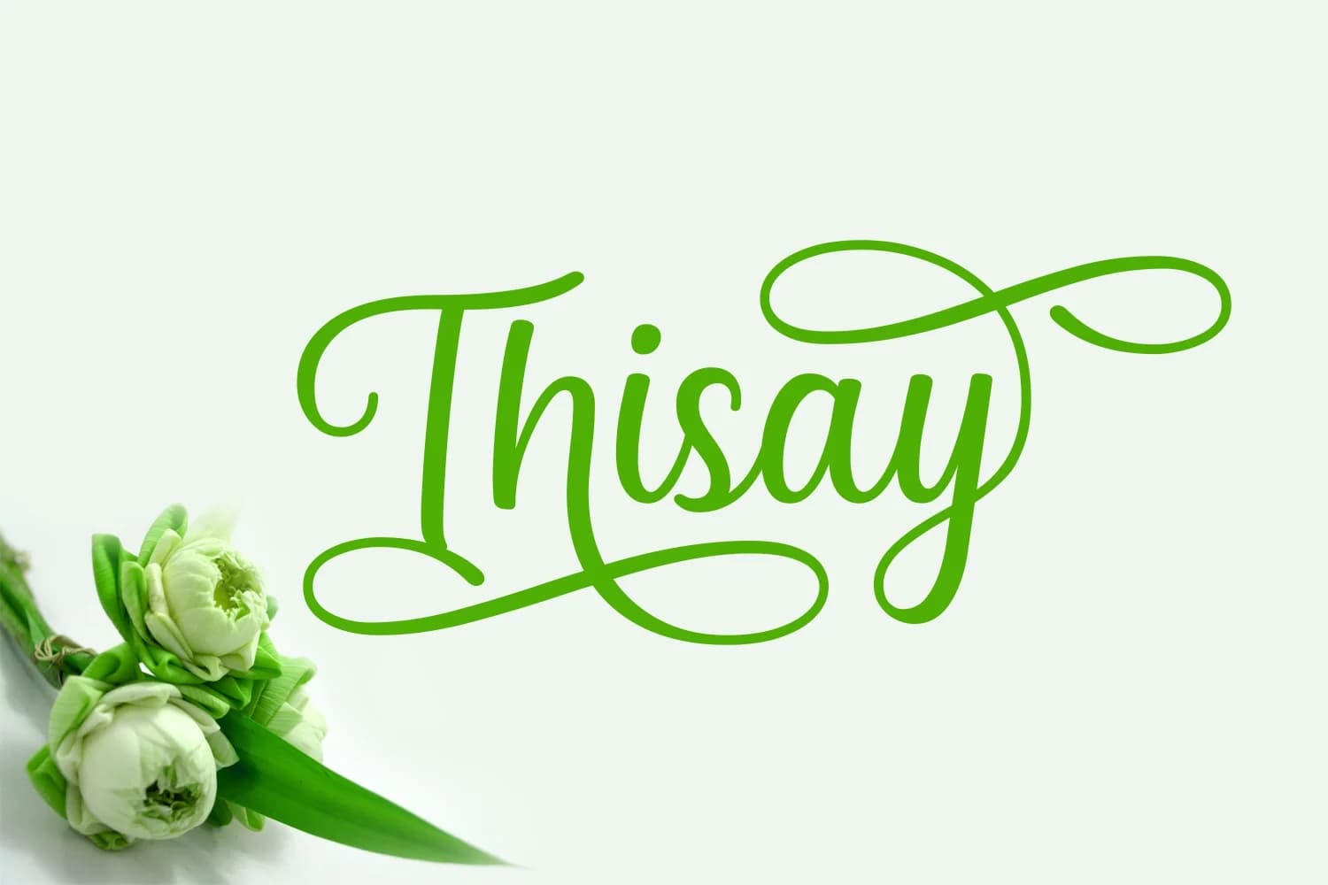 Thisay Font by Andrian Dehasta — Script Handwritten Font