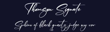 Thomson Signate by Letterena Studios — Script Handwritten Font — thumbnail 2