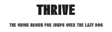 Thrive by Graphicxell — Sans Serif Font — thumbnail 1