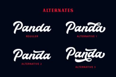 Thunder Script Font by IklazStudio — Script Handwritten Font — thumbnail 3