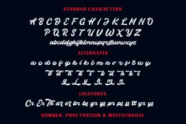 Thunder Script Font by IklazStudio — Script Handwritten Font — thumbnail 9