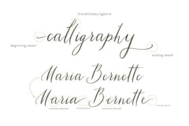 Tiara Font by Primafox Design — Script Handwritten Font — thumbnail 3