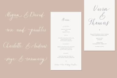 Tiara Font by Primafox Design — Script Handwritten Font — thumbnail 6