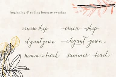 Tiara Font by Primafox Design — Script Handwritten Font — thumbnail 7