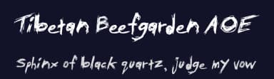 Tibetan Beefgarden AOE by Astigmatic One Eye Typographic Institute — Script Handwritten Font — thumbnail 2