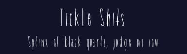 Tickle Shits by Nikki Rodriguez — Script Handwritten Font — thumbnail 2