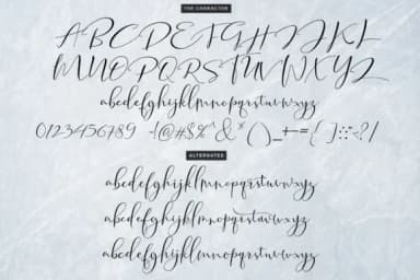 Tifany Font by Moly Mol — Script Handwritten Font — thumbnail 9