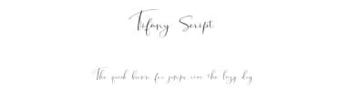 Tifany Script by Moly Mol — Script Handwritten Font — thumbnail 1